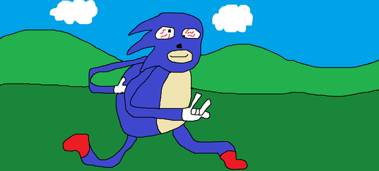 Sonic Amazing Store