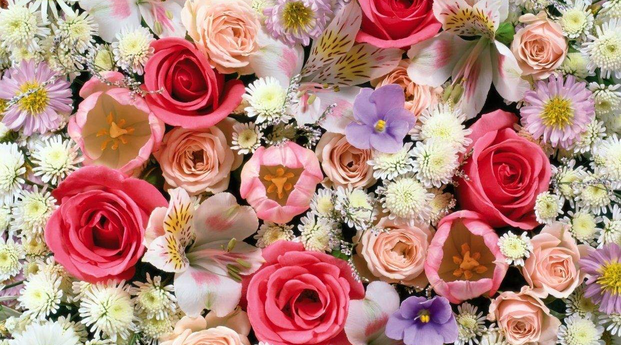 Royal Flowers KZ TEST
